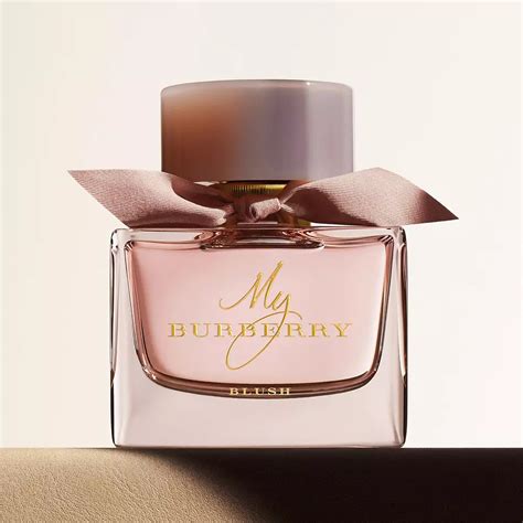 award winning burberry perfume for women|Burberry women perfume collection.